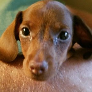 Meet your Posher, Jason